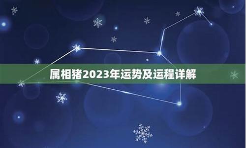 2023年各生肖运势-2023年属相运势今日运程查询最新解析详解