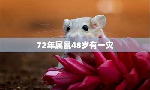 84年属鼠48岁有一灾2020-84年属鼠人一生的灾难